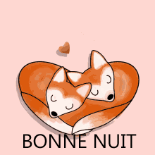 bonne nuit renards